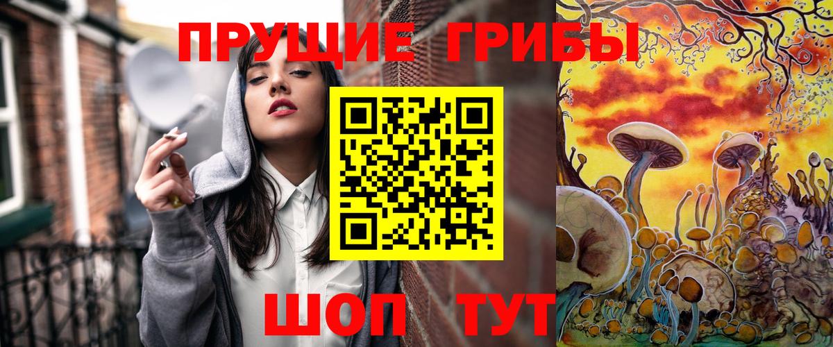 Псилоцибиновые грибы мицелий Ростов Великий