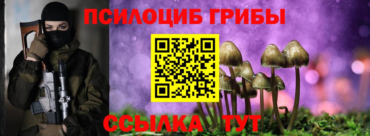 Псилоцибиновые грибы Cubensis  Галлюциногенные грибы прущие грибы  Вход с VPN  Ростов Великий 